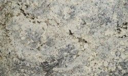 alpinus
